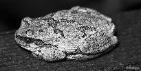 thumb/F001_66a.jpg