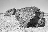 thumb/F001_68d.jpg
