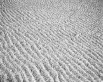 thumb/F001_70a.jpg