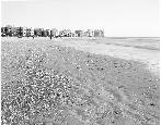 thumb/F001_71a.jpg