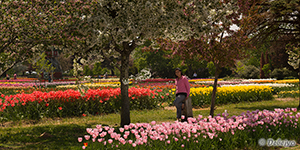 thumb/bhavna_in_valdheer_garden.jpg