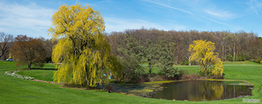 thumb/botanical_garden.jpg